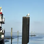 1 Nordsee Gulfhof Dornum - Mit Grossem Garten Roggenstede
