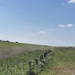 1 Nordsee Gulfhof Dornum - Mit Grossem Garten * Roggenstede