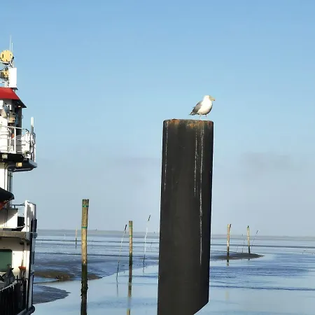 1 Nordsee Gulfhof Dornum - Mit Grossem Garten Roggenstede