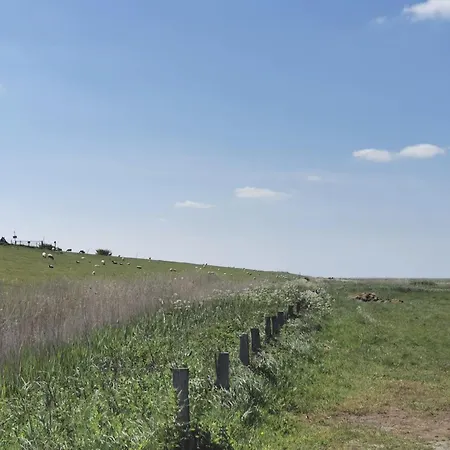 1 Nordsee Gulfhof Dornum - Mit Grossem Garten * Roggenstede