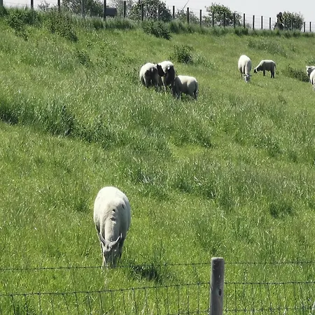 1 Nordsee Gulfhof Dornum - Mit Grossem Garten
