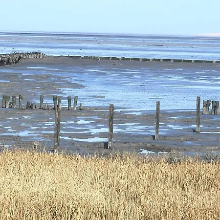 Nordsee Gulfhof Dornum - Mit Großem Garten *