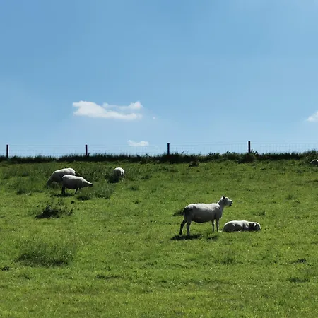 1 Nordsee Gulfhof Dornum - Mit Grossem Garten Lejlighed