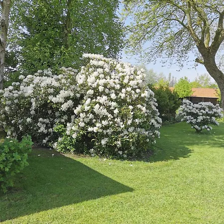 Nordsee Gulfhof Dornum - Mit Großem Garten *