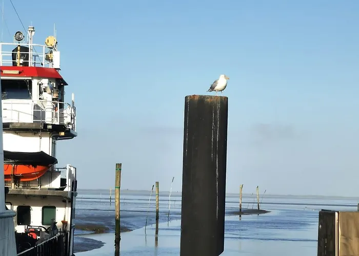 Nordsee Gulfhof Dornum - Mit Großem Garten Roggenstede