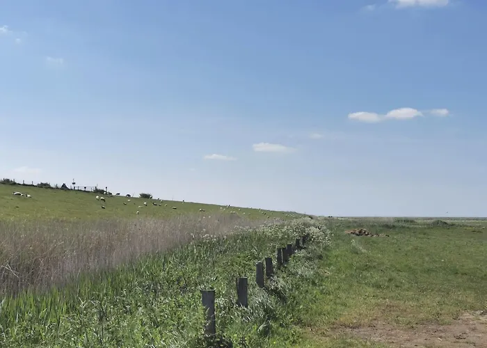 Nordsee Gulfhof Dornum - Mit Großem Garten * Roggenstede