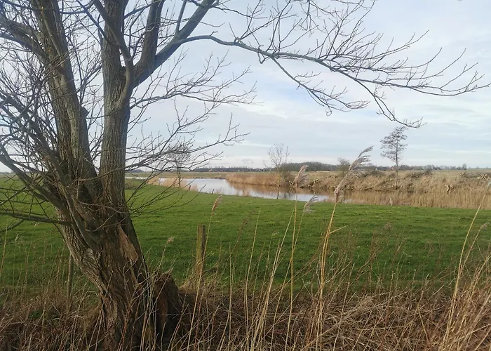 Nordsee Gulfhof Dornum - Mit Großem Garten * Roggenstede