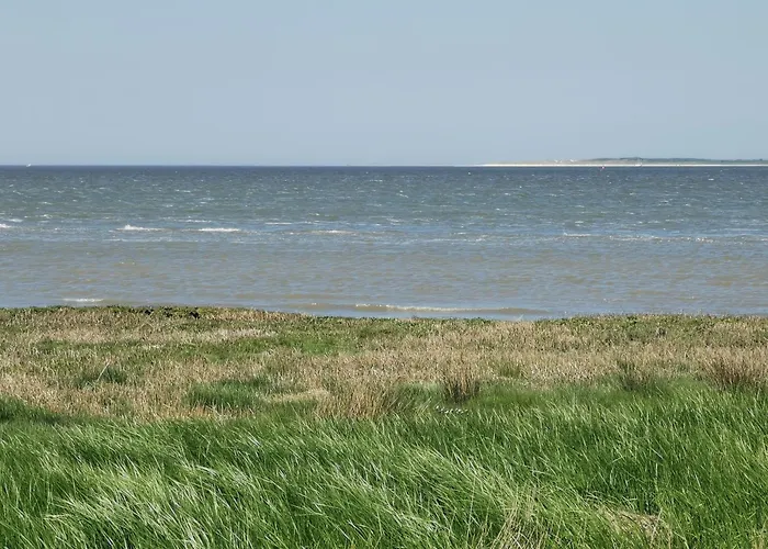 Nordsee Gulfhof Dornum - Mit Großem Garten Apartment