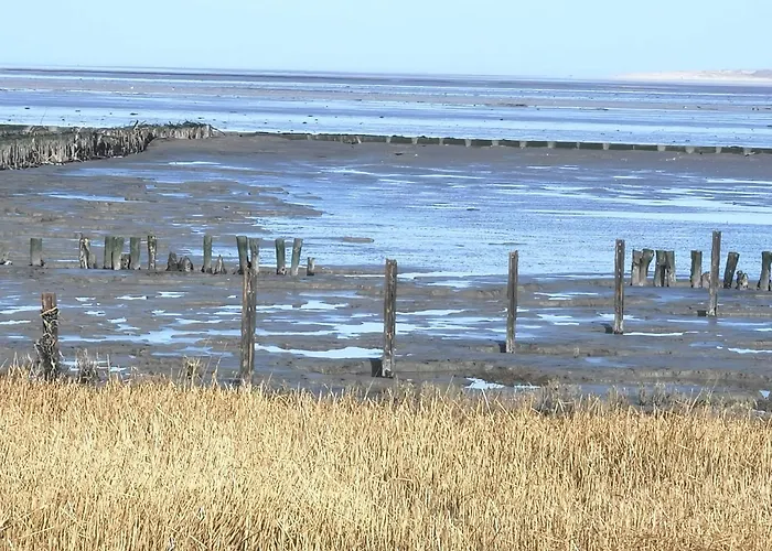 Nordsee Gulfhof Dornum - Mit Großem Garten *